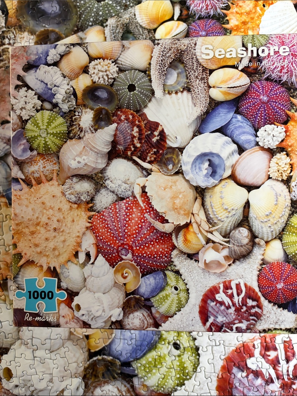 Seashore 1000-Piece Jigsaw Puzzle - Multicolor Seashells